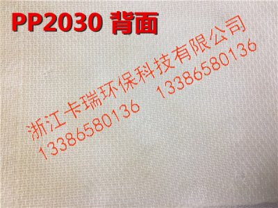 PP2030双层背面